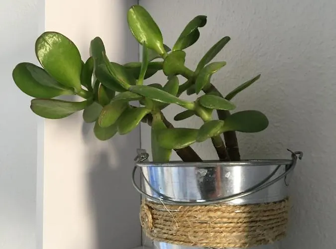 Surest Cala'N Blanes (Menorca)