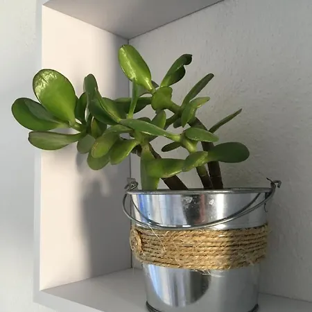 Surest Cala'N Blanes (Menorca)